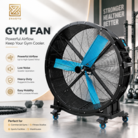 Máquina de Estiramiento Comercial, Equipo de Entrenamiento de Flexibilidad Corporal Completa, Entrenador de Movilidad para Gimnasio, Centro de Fitness, Recuperación Deportiva