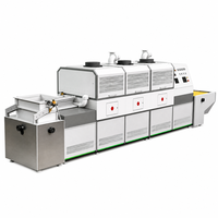 Industriële magnetrondroger met continue band, fabrieks prijs, voor fruitverwerking
