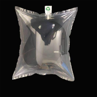 Coussin gonflable / Sac de rangement en plastique pour chaussures / Sac de rangement gonflable pour chaussures / Étire-chaussures gonflable / Support de maintien pour chaussures
