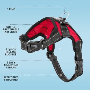 Arnés Ajustable para Perro con Cintas Personalizadas, Diseño Clásico para Exteriores, Asa de Control, Reflectante, de Nailon Sólido - Product Image 3