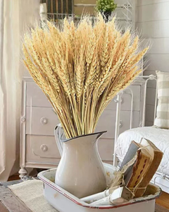 Vente flash : Fleurs séchées en <span class=keywords><strong>blé</strong></span>, 100% <span class=keywords><strong>blé</strong></span> naturel, bouquets <span class=keywords><strong>de</strong></span> <span class=keywords><strong>centre</strong></span> <span class=keywords><strong>de</strong></span> <span class=keywords><strong>table</strong></span> pour mariages rustiques - Product Image 3