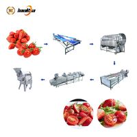 Professionele aardbeien-tomaat-groentesalade verwerkingslijn, industriële kwaliteit, hoog rendement saladeproductiesysteem