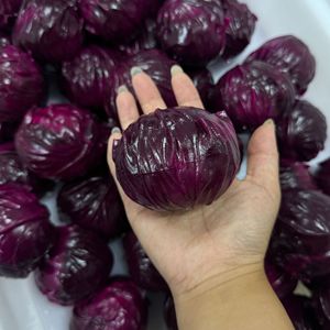 Pelota Antiestrés de Repollo Morado Hecha a Mano, Textura Crujiente, Sensorial, para Aliviar el Estrés y Herramienta Divertida para Ventilar Emociones - Product Image 1