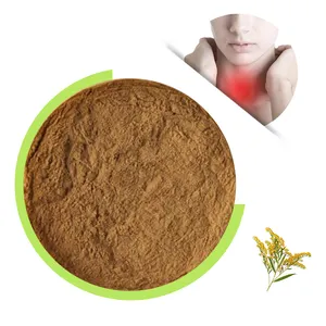 Factory Direct Supply Wholesale Pure Cosmetic Flavonoids Herbal Solidago Extract Powder Common Goldenrod Extract powder