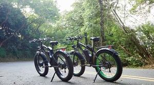 European Warehouse Low Price Factory Direct Sales Ebycco Fat Tire Moped - Product Image 2