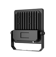 Reflector LED Superbrillante de 100W con Clasificación IP67 y Chips SMD para Uso en Almacenes, Exteriores y Estadios
