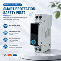Interrupteur intelligent WIFI TUYA 63A avec compteur d'énergie, disjoncteur intelligent WIFI, commande vocale avec protection contre les surcharges et les courts-circuits