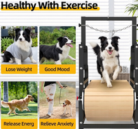 Peralatan Olahraga Treadmill Anjing HOT 2026, Lipat, Indoor & Outdoor