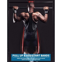 Bandas Elásticas de Resistencia para Ejercicios, Entrenamiento Físico, Fisioterapia y Fortalecimiento