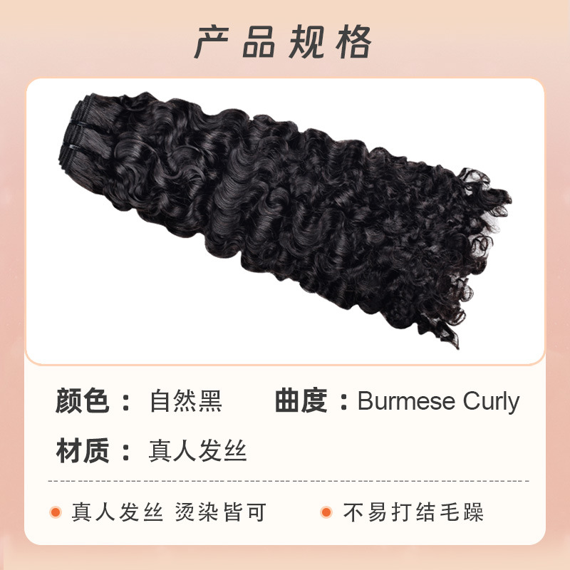 Burmese curly 100g