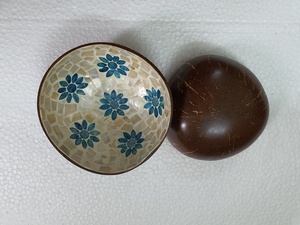 Bols écologiques de haute qualité Arted bleu naturel ensembles de vaisselle bon marché en gros de bol de noix de coco du Vietnam - Product Image 2