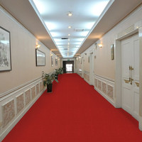 Tapis d'hôtel en coton, rouge, pour événements, allée, mariages, escalier, rouleau pour fête