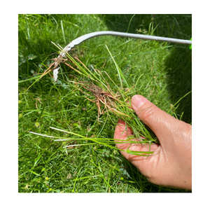 Désherbeur doux et facile à utiliser BinFen, respectueux des racines, en vert/bleu/jaune pour le contrôle des mauvaises herbes dans le jardin - Fournitures de jardin essentielles - Product Image 3
