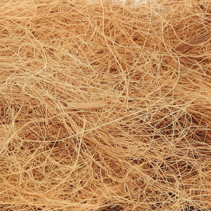 Exportation de produits populaires 2024 | Les tapis en fibre de coco en forme d'animaux domestiques sont respectueux de l'environnement - Product Image 1