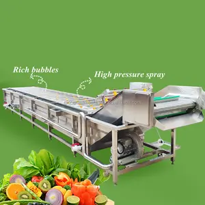 Automatic Chili Cleaning Machine Pumpkin Spinach Grape Washer Air Bubble Fruit Mango Guava Garlic Washing Machine