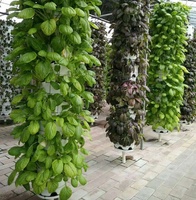 Système de jardinage automatique de tour hydroponique aéroponique d'intérieur conception simple écologique pour la culture de légumes et de plantes vertes à la maison
