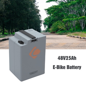 Lezet 48V 25Ah LiFePO4 elektrische fietsbatterij, op maat gemaakte lithium-ion accu voor 2/3-wielige scooter - Product Image 1