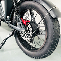 Bicicleta Eléctrica Multiusos de 20 Pulgadas, 48v 25AH, Bicicleta Eléctrica de Montaña, Bicicleta Eléctrica para Adultos, para Entrega de Comida