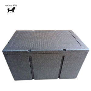 Best-Selling China Manufacture Quality Epp Food Delivery Box Epp Foam cooler box