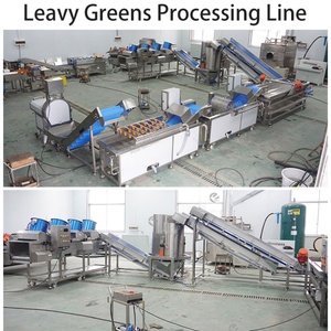 1000-2000kg/h Leavy <b>Vegetable</b> Processing Line Salad Greens Cutting Washing Drying Machine <b>Vegetable</b> Process Line - Product Image 3