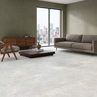 Baldosas de Porcelana Modernas de Alta Calidad para Estacionamiento, Antideslizantes, para Exteriores, 60x60x20mm, Resistentes, Antibacterianas