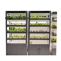 Serre intérieure automatique NFT, système hydroponique vertical, étagère de culture de graines de légumes multicouche