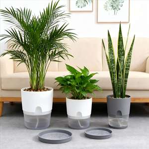 <span class=keywords><strong>Maceta</strong></span> Moderna Transparente con <span class=keywords><strong>Autorriego</strong></span> para Orquídeas y Violetas, Uso en Interiores, <span class=keywords><strong>Maceta</strong></span> Hidropónica de Plástico - Product Image 2