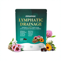 Gélules Antioxydantes Lymphatiques en Gros d'Usine – Extraits Botaniques Avancés, Complément Herbal pour le Soutien Immunitaire et le Bien-être Adulte