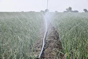 공장 맞춤형 스프레이 지역 정원 스프링클러 관개 마이크로 레인 스프레이 호스 - Product Image 2