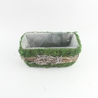 Pot Bonsai Rotan Manual dengan Desain Klasik untuk Menanam Kaktus dan Sukulen