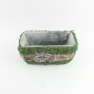 Maceta Manual para Bonsái con Diseño Clásico <span class=keywords><strong>de</strong></span> Ratán, Macetas <span class=keywords><strong>de</strong></span> Jardín para Plantar <span class=keywords><strong>Cactus</strong></span> <span class=keywords><strong>y</strong></span> <span class=keywords><strong>Suculentas</strong></span> - Product Image 1