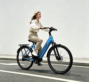 Bicicleta Eléctrica Urbana Todoterreno con Suspensión para Montaña - Product Image 6