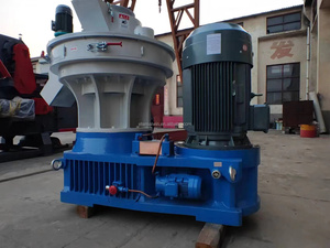 Ligne <span class=keywords><strong>de</strong></span> production <span class=keywords><strong>de</strong></span> granulés <span class=keywords><strong>de</strong></span> <span class=keywords><strong>bois</strong></span> 1 t/h biomasse Branches d'arbres Machine à granulés <span class=keywords><strong>de</strong></span> <span class=keywords><strong>bois</strong></span> Machine à litière pour chats - Product Image 5