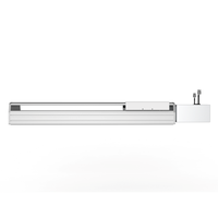 Module d'actionneur de moteur pas à pas micro-électrique NICE BBK22 Series avec rails de guidage linéaires en alliage d'aluminium de haute précision et vis à billes