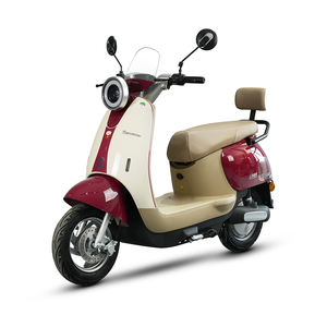 TYCORUN CKD Moto électrique légère 10 pouces 800W 45km/h – Trottinette électrique à pédales à prix d'usine, vente chaude pour la vente en gros - Product Image 2