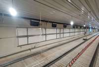 Équipement automatique pour poulailler de nouvelle condition ligne d'alimentation pour l'élevage de poulets de chair avec bac d'alimentation au sol