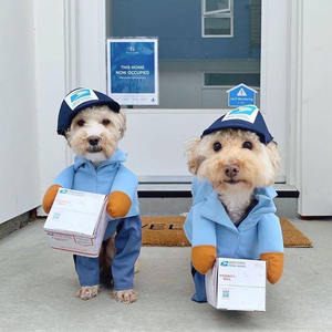 Hondenkoerier Cosplay Kleding Grappige Pet Bont Kostuum Voor Rollenspel Express Pakket En Piratenpak Voor Halloween - Product Image 4