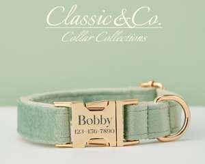 Saegreen Veet personalizado Do Collar Bow Tie Leash Set, personalizado Enraved Pet Name Metal Buckle, cumpleaños cachorro regalo, gratis - Product Image 2