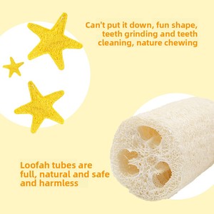 Jouets pour chats en luffa naturel en forme de patte, friandises modernes en carton en forme d'étoile de mer pour le nettoyage buccal, suppléments anti-stress - Product Image 4