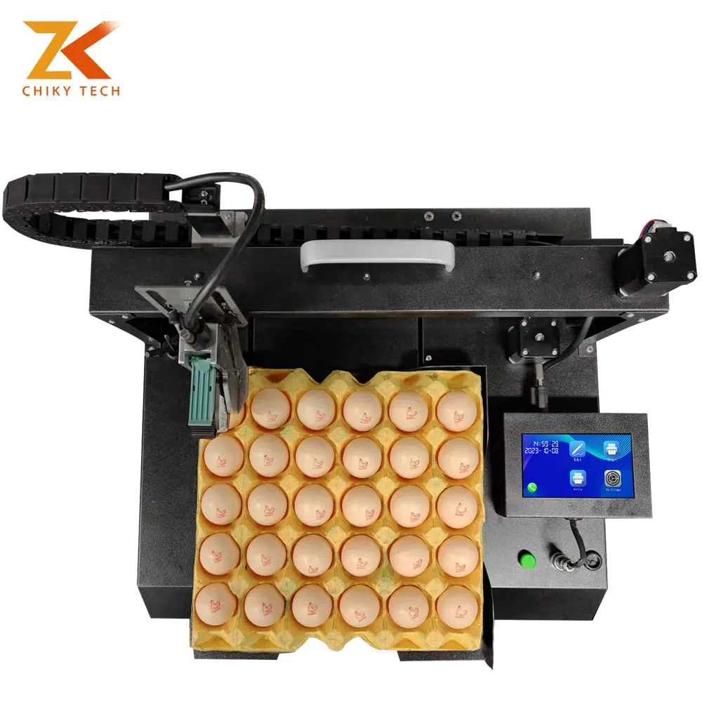 Manufacture Multifunction Automatic Single Head Egg Date Coding Stamping Inkjet Printer For Small Businesses