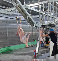 Ligne d'abattage automatique de moutons à haute efficacité, équipement de traitement halal pour abattoir de chèvres, machines de transformation de viande personnalisables