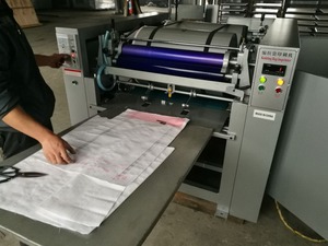 Máquina de impresión de bolsas de HS-850, máquina de impresión digital de bolsas tejidas de plástico, impresoras flexográficas - Product Image 6