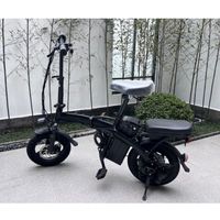 Vélo Électrique Ultime Pliable Amovible Polyvalent Toutes-Terrains à Prix Compétitif et Très Vendu