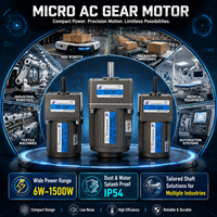 Moteur micro-étoile à vis sans fin robuste JIUHONG IP54 résistant aux éclaboussures avec option de frein 6W-25W 220V monophasé pour automatisation en environnements difficiles