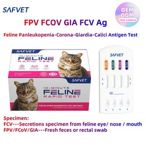 Félin Panleucopénie Fpv Ag Fcov <span class=keywords><strong>Test</strong></span> Vétérinaire Chat Fpv Fcov Gia Fcv Antigène Quadruple <span class=keywords><strong>Kit</strong></span> de <span class=keywords><strong>Test</strong></span> Rapide pour Chats - Product Image 4