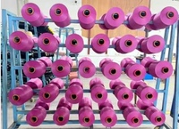 Fil de nylon DTY teint en masse 70D/24F rose 100% nylon pour gants, fourni directement par l'usine