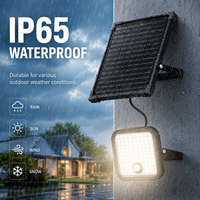 Fábrica de Iluminación Solar OEM ODM, Luces Solares Personalizadas para Jardín, Pared, Calle, Etiqueta Privada para Marcas, Importadores y Minoristas