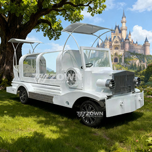 Carro Fúnebre Eléctrico de Estructura de Acero, Diseñado para el Transporte Seguro e Higiénico de Fallecidos - Product Image 5