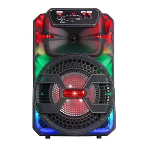 Haut-parleur personnalisé Système de haut-parleurs karaoké Système audio professionnel avec flash coloré