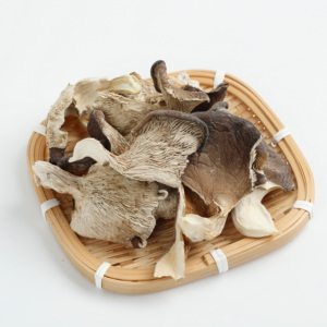 Xuất Khẩu Nấm Khô Hàu Detan - Product Image 1